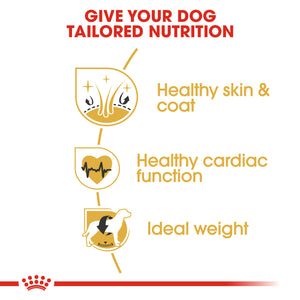 ROYAL CANIN® Golden Retriever Adult Dry Dog Food