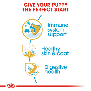 ROYAL CANIN® Golden Retriever Puppy Dry Food