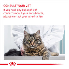 Load image into Gallery viewer, ROYAL CANIN® Hairball Care Adult Dry Cat Food