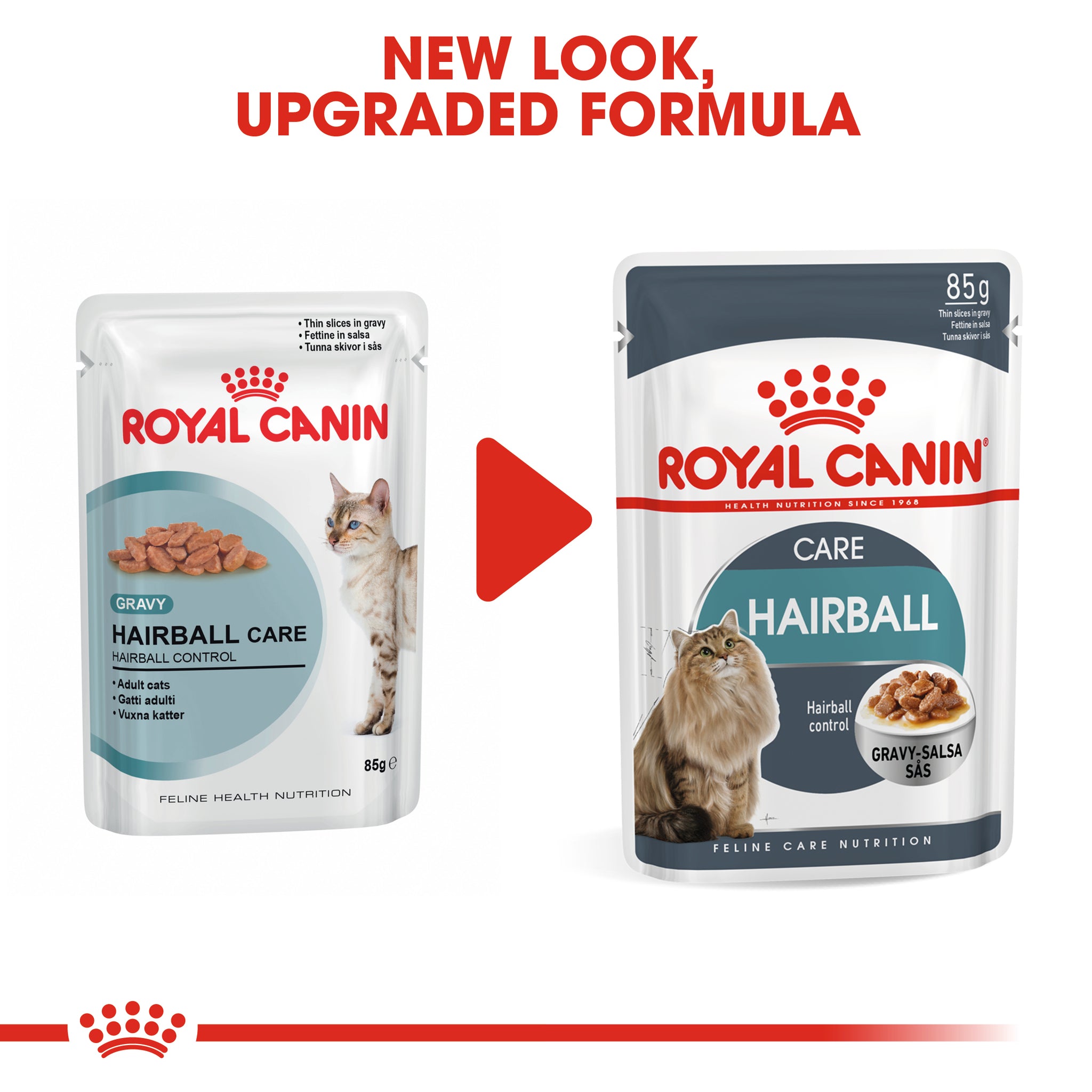 Buy ROYAL CANIN Hairball Care In Gravy Adult Wet Cat Food Online