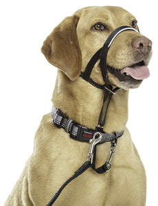 Halti Dog Head Collar