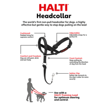 Load image into Gallery viewer, Halti Dog Head Collar