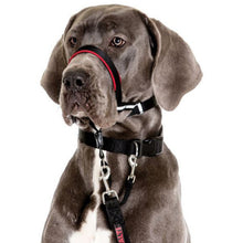 Load image into Gallery viewer, Halti Dog Optifit Dog Headcollar