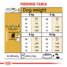 Load image into Gallery viewer, ROYAL CANIN® Jack Russell Terrier Adult Dry Dog Food