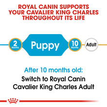 Load image into Gallery viewer, ROYAL CANIN® Cavalier King Charles Puppy Dry Food