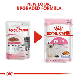 ROYAL CANIN® Kitten Wet Food