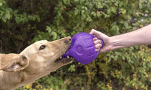Load image into Gallery viewer, Kronos9 Sphere Led Dog Toy