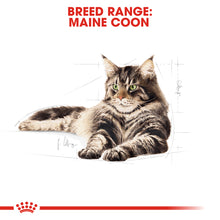 Load image into Gallery viewer, ROYAL CANIN® Maine Coon Adult Dry Cat Food