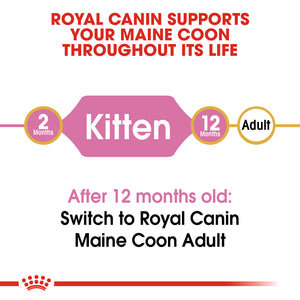 ROYAL CANIN® Maine Coon Kitten Dry Food