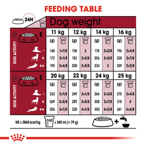 Royal Canin Medium Ageing 10+