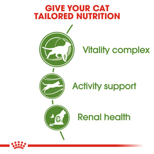 ROYAL CANIN® Outdoor 7+ Ageing Dry Cat Food