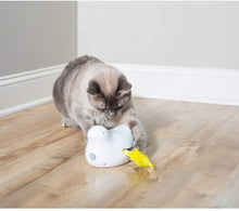 Load image into Gallery viewer, Petsafe Peek-a-Bird Cat Toy