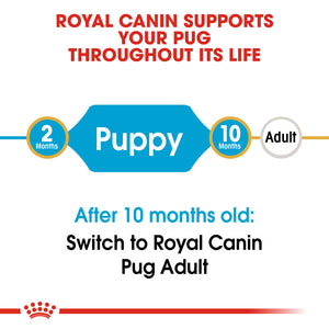 ROYAL CANIN Pug Puppy Dry Dog Food