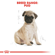 Load image into Gallery viewer, ROYAL CANIN Pug Puppy Dry Dog Food