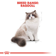 Load image into Gallery viewer, ROYAL CANIN® Ragdoll Adult Dry Cat Food