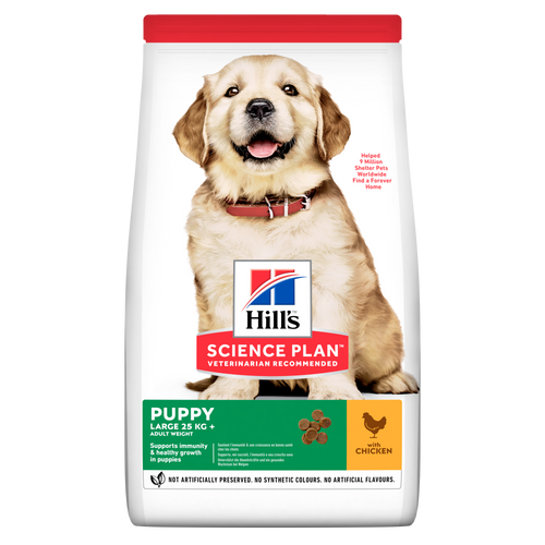Hill's Puppy Large Breed Dry Food Chicken