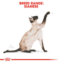 Load image into Gallery viewer, ROYAL CANIN® Siamese Adult Dry Cat Food
