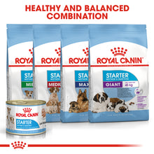 Load image into Gallery viewer, Royal Canin Starter Mousse Mother &amp; Babydog