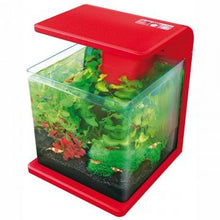 Load image into Gallery viewer, Superfish Aquarium Fish Tank