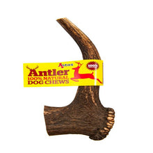Load image into Gallery viewer, Antos Antler