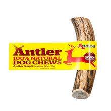 Load image into Gallery viewer, Antos Antler