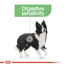 Load image into Gallery viewer, ROYAL CANIN® Medium Digestive Care Adult Dry Dog Food