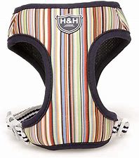 Hugo & Hudson Stripe Harness