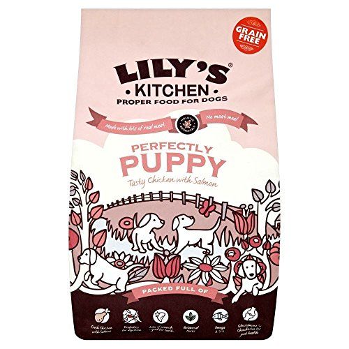 Lily's Kitchen Puppy Recipe
