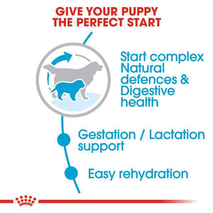 ROYAL CANIN® Giant Starter Mother & Babydog Adult and Puppy Dry Food