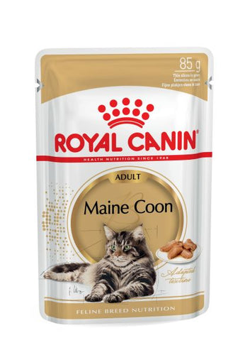 ROYAL CANIN Maine Coon Adult In Gravy Wet Cat Food