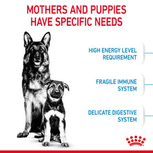 Load image into Gallery viewer, ROYAL CANIN® Maxi Starter Mother &amp; Babydog Adult and Puppy Dry Food