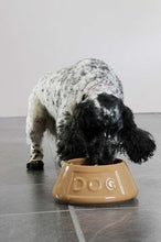 Load image into Gallery viewer, Mason Cash Dog Non Tip Bowl