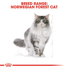 Load image into Gallery viewer, ROYAL CANIN® Norwegian Forest Adult Dry Cat Food