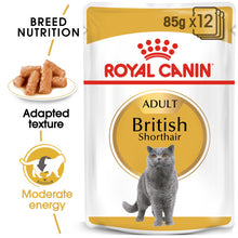 Load image into Gallery viewer, ROYAL CANIN British Shorthair Adult In Gravy Wet Cat Food