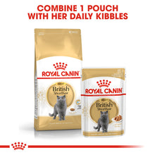 Load image into Gallery viewer, ROYAL CANIN British Shorthair Adult In Gravy Wet Cat Food